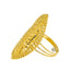 22K Yellow Gold & White Gold Ring (5.5gm)