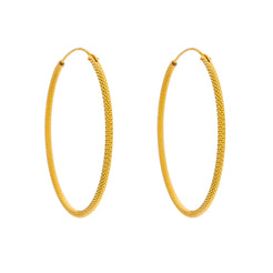 22K Yellow Gold Hoop Earrings (1.9gm)