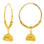 22K Yellow Gold Jhumki Hoop Earrings (15.5gm)