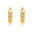 22K Yellow Gold & CZ Earrings (12.9gm)